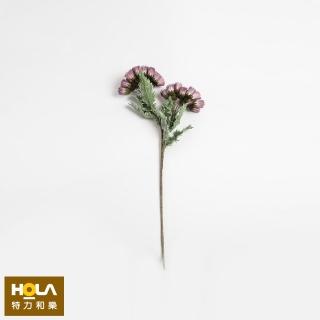 【HOLA】Flora芙蘿拉花插 蒲公英 紫