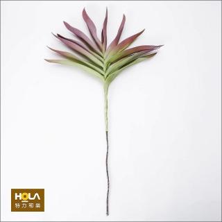 【HOLA】Flora 芙蘿拉花插 蘆薈葉 紫綠