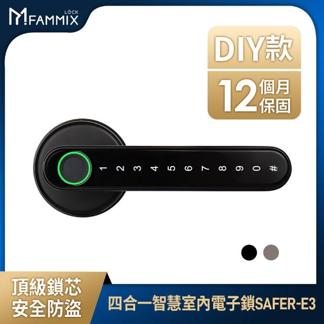 【FAMMIX 菲米斯】SAFER-E3 四合一把手式室內電子鎖＋網關＋監視器