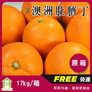 【每日宅鮮】澳洲進口肚臍丁(17kg/箱)