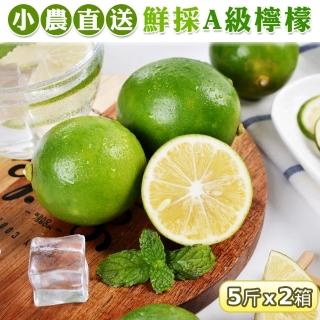 【禾鴻】屏東小農直送鮮採A級綠檸檬5斤x2盒(檸檬含有滿滿的維生素C)