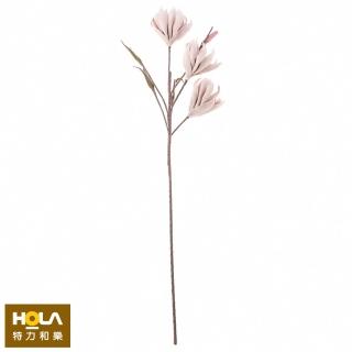 【HOLA】Flora芙蘿拉花插 非洲菊 粉