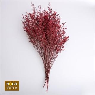 【HOLA】Flora芙蘿拉花插 情人草永生花 紅