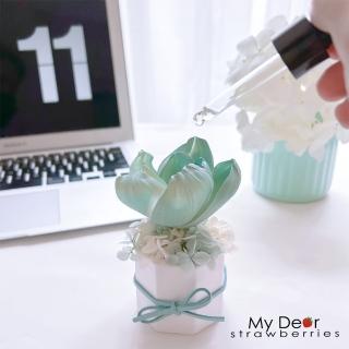 【MY DEAR STRAWBERRIES】東方少女芍藥擴香花 含5ml精油(花禮/花盆/擴香/買花/送禮/辦公室/療癒/小物/香氛)