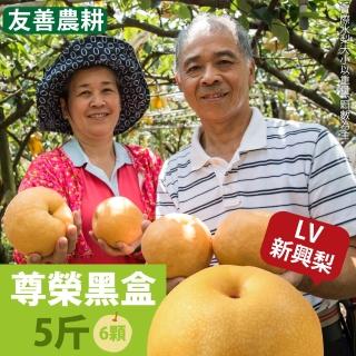 【龍安果園-中秋禮盒】特選LV等級新興梨 尊榮黑盒 6顆/5台斤X2(TVBS採訪/光波水梨/產地直送/送禮/自用好品