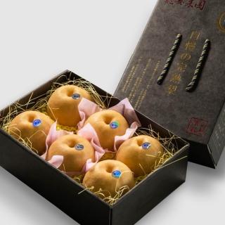 【龍安果園-中秋禮盒】特選LV等級新興梨 經典提盒 6顆/6台斤(TVBS採訪/光波水梨/產地直送/送禮/自用好品味)