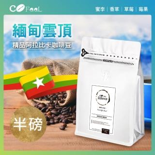 【Cofeel 凱飛】鮮烘豆緬甸雲頂2800米淺中烘焙精品阿拉比卡咖啡豆半磅