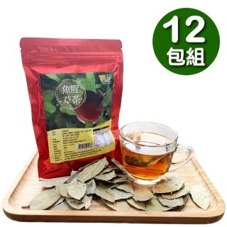 【王媽媽推薦】魚腥草養生茶12包
