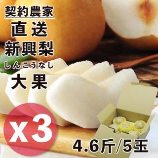 【日本契約農家直送-中秋禮盒】鳥取縣日本梨穗新興水梨大果4.6斤5顆X3盒(優質梨穗才能培育出特秀水梨)