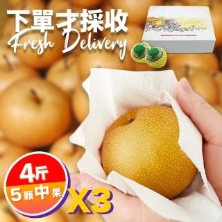 【下單才採最新鮮-中秋禮盒】卓蘭秀品新興水梨中果4斤5顆入X3(黃金時間採收 風味更獨特)