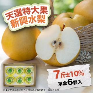 【農村梨小農-中秋禮盒】日本種新興水梨特大果7斤6顆(優選十大小農 水梨界黑馬)