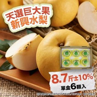 【農村梨小農-中秋禮盒】日本種新興水梨巨無霸8.7斤6顆(優選十大小農 水梨界黑馬)