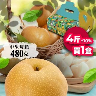 【堅持採收後24小時出貨-中秋禮盒】高海拔中顆新興水梨4斤5顆(堅持採收後24小時出貨)
