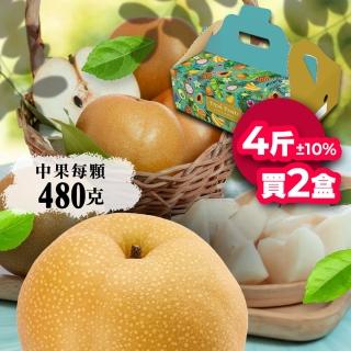 【堅持採收後24小時出貨-中秋禮盒】高海拔中顆新興水梨4斤5顆｜兩盒組(堅持採收後24小時出貨)