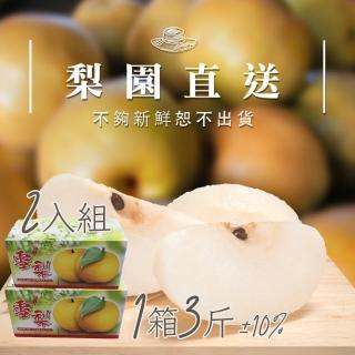 【梨園直送-中秋禮盒】職人栽培寶島霸王級新興水梨單箱3斤2顆裝共兩箱(不夠新鮮不出貨)