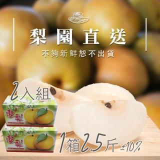 【梨園直送-中秋禮盒】職人栽培寶島大王級新興水梨1箱2.5斤2顆裝共兩箱(不夠新鮮不出貨)