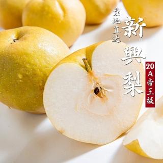 10387590 L 苗栗40年劉家總統級超大新興梨接單現摘
