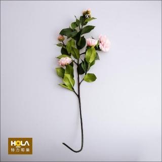 【HOLA】茶花 粉2020
