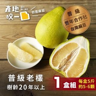 【BitByBit產地咬一口】產銷履歷認證臺南麻豆20年鮮奶文旦1盒(5斤 每盒約5顆 中秋柚子)