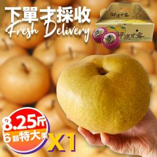 【下單才採最新鮮】卓蘭秀品寶島甘露特大顆水梨8.25斤6顆入(黃金時間採收 風味更獨特)