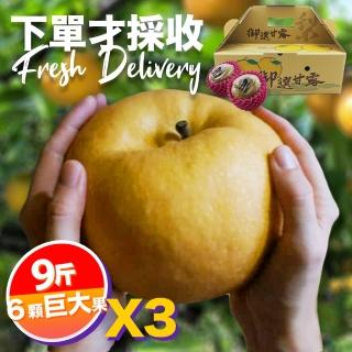 【下單才採最新鮮】卓蘭秀品寶島甘露巨大顆水梨9斤6顆入X3(黃金時間採收 風味更獨特)