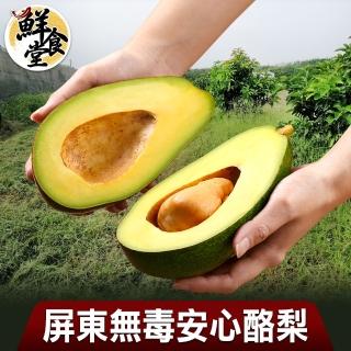 【鮮食堂】屏東無毒安心酪梨3箱(4台斤±5%/箱/約5-7顆裝)