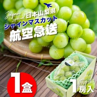 【果樹寶石】日本山梨縣相撲級麝香葡萄1大房禮盒(航空急送 富士山北側御選果園)
