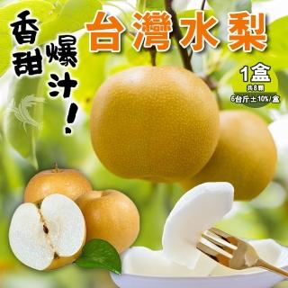 【禾鴻】脆甜多汁新興梨6台斤8顆禮盒x1盒(企業團購中秋送禮)