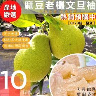 【產地嚴選】麻豆老樣文旦/10斤x2箱