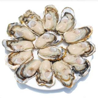 【一手鮮貨】日本室津原裝生食級牡蠣_2L(30顆組/2L生食級/一年生/生蠔)