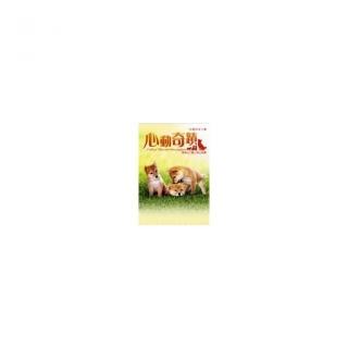 心動奇蹟--瑪莉與三隻小狗的故事【珍藏明信片書】