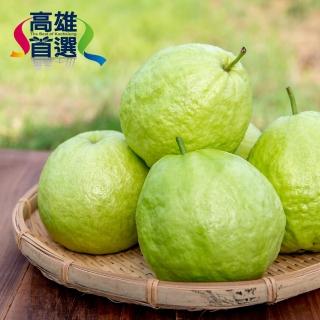 【高雄首選】小農盧定楠-有機轉型期珍珠芭樂3公斤/箱(永田農家、無農藥、無化學肥料)