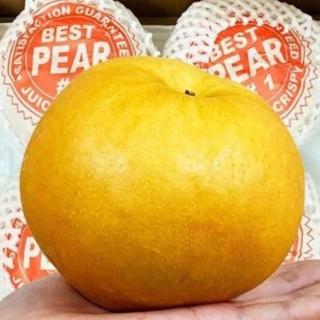 【RealShop 真食材本舖】韓國圓黃梨26-30顆裝 約15kg 原裝箱(中秋節送禮)