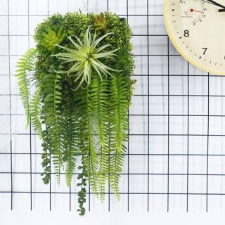 【HUGO DECO 榆果傢飾】空氣鳳梨蕨葉植生框(擬真植栽/擬真植物/居家佈置/壁面裝飾)