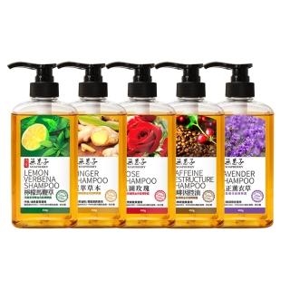 【古寶無患子】4入任選無矽靈洗髮精露450g(頭皮護理/控油/頭皮潔淨/養護髮/護色/乾癢)
