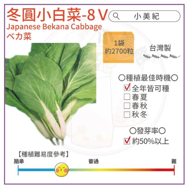 【小美紀】高優質 種子(翠妹萵苣 翠強青江菜 冬圓小白菜 青花椰菜芽 奶油窩苣 南瓜 大陸妹 菜苗)