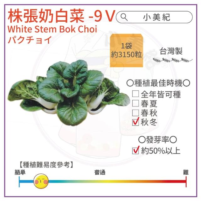 【小美紀】高優質 種子(翠妹萵苣 翠強青江菜 冬圓小白菜 青花椰菜芽 奶油窩苣 南瓜 大陸妹 菜苗)