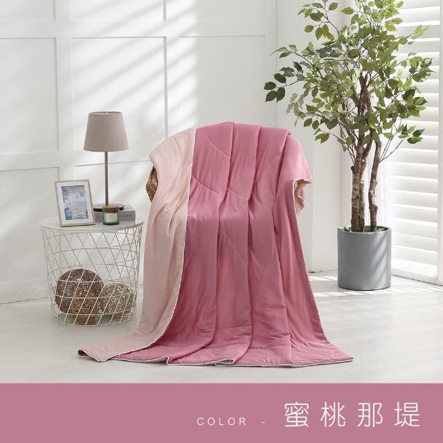【ISHUR 伊舒爾】玩色雙面冰凍被1入 5x6尺(贈大尺寸洗衣袋1入/涼被/夏被/多款任選 速達)