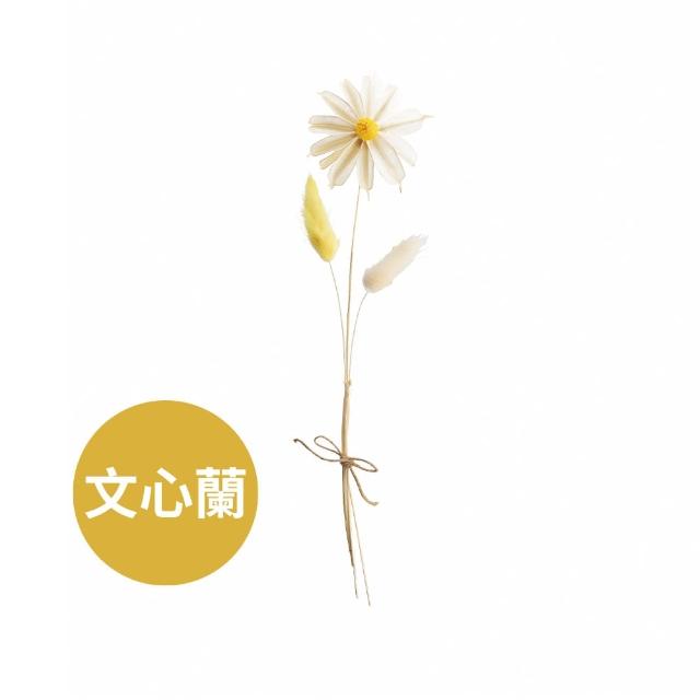 【C&F 香研所】任選2入 天然乾燥花束(居家香氛/香水精油/擴香禮物)
