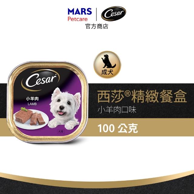 【Cesar 西莎】經典風味餐盒 100g*24入(狗罐/犬餐盒/熟齡犬/全齡適用)