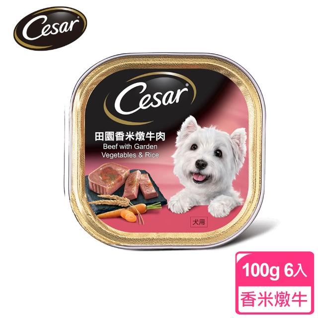 【Cesar 西莎】經典風味餐盒 100g*6入*4口味(任選) 寵物/狗罐頭/狗食