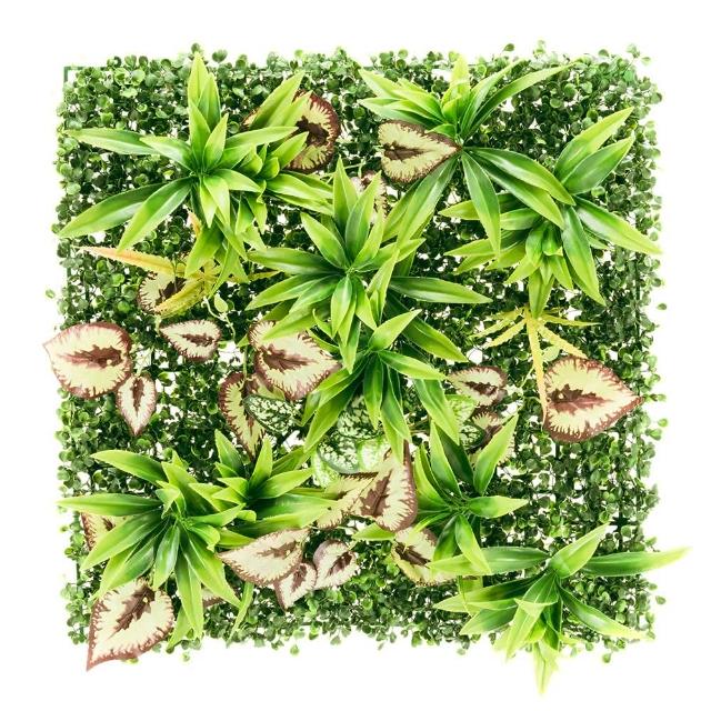 【dayneeds 日需百備】仿真草植-自然綠境 50cm正方形 混合款05(植生牆/仿真植物牆/植草磚/植物牆)