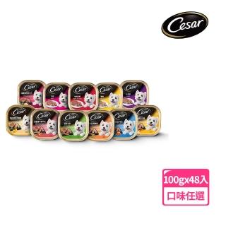 【西莎】犬餐盒100g*48入