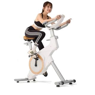 【well-come 好吉康】AXEFIT 自發電控飛輪健身車 VR6011(免插電/32段阻力/永續環保)