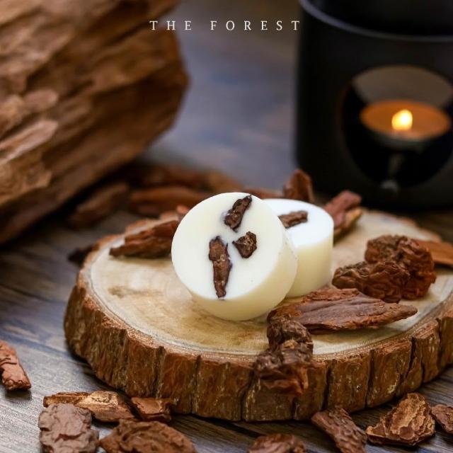 【The Forest 癒森林】香氛蠟塊禮盒23g*4香氛蠟塊+融蠟燭燈超值組(融蠟燈/融蠟爐/香氛蠟燭/居家香氛/禮盒)