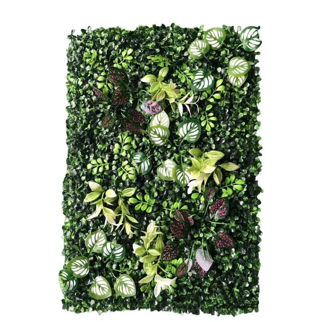 仿真植物牆 60*40cm 園藝造景(綠植牆 植栽墻 景觀裝飾 仿真花 花草牆 植物牆 綠化牆