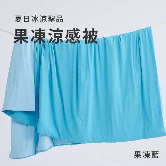【戀家小舖】買一送一☆MIT瞬間冰涼 花色涼感被涼被(150x180cm_多款任選)