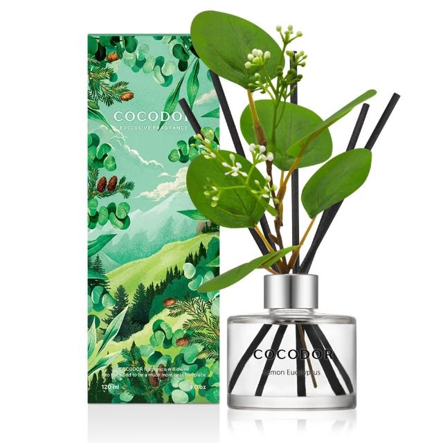【COCODOR】森林系列擴香瓶120ml(韓國香氛/官方直營)