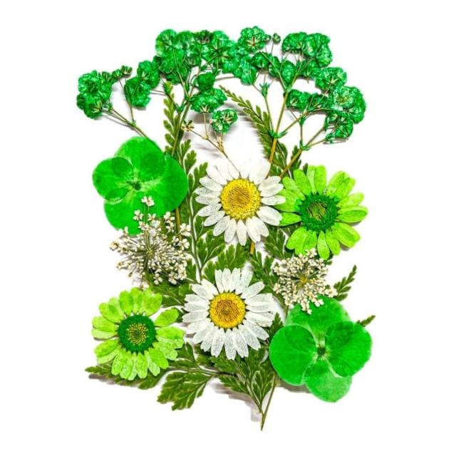 【A-ONE 匯旺】壓花材料 乾燥花材料 壓花 押花 手工壓花 植物 壓花DIY 乾花書籤