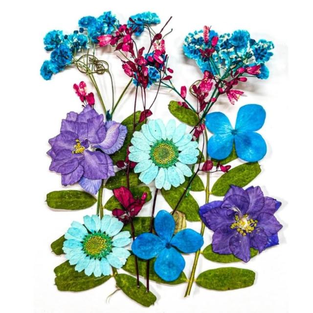 【A-ONE 匯旺】壓花材料 乾燥花材料 壓花 押花 手工壓花 植物 壓花DIY 乾花書籤